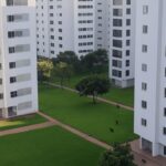 Condomínio em Brasília com portão fechado e áreas negligenciadas, representando descaso com protetores de animais.