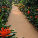 Trilhas arborizadas e vegetação tropical no Jardim Botânico durante a 2ª edição do Projeto Oikos.