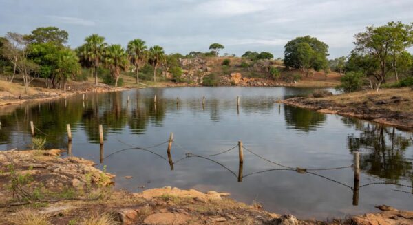 Piscinas naturais da Água Mineral fechadas no Parque Nacional de Brasília por risco de ruptura, com vegetação do cerrado e barreiras de isolamento.