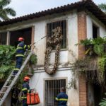 Jibóia enrolada em janela de loja no Jardim Botânico, com bombeiros realizando resgate no Rio de Janeiro.