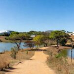 Vista do Jardim Botânico de Brasília, com vegetação do Cerrado e estruturas integradas à natureza, representando nova administração pelo GDF.