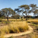 Vista do Jardim Botânico de Brasília, no DF, com vegetação do Cerrado e estruturas administrativas, representando nomeação de novo administrador.