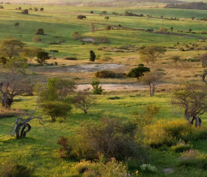 Área rural regularizada no Distrito Federal, representando três anos de atuação da ETR