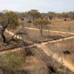 Paisagem do cerrado no DF com medidas de prevenção a incêndios florestais da Operação Verde Vivo