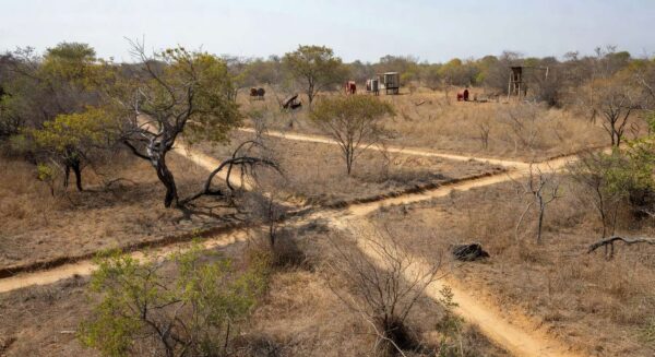 Paisagem do cerrado no DF com medidas de prevenção a incêndios florestais da Operação Verde Vivo