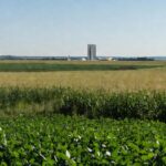 Lavoura agrícola em São Sebastião com homenagem simbólica da câmara sem propostas concretas