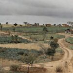 Paisagem rural no cerrado do DF representando empreendedorismo agrícola