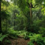 Área verde preservada no Jardim Botânico para consulta da RPPN Estância Pinheiros