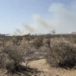 Paisagem do Cerrado no DF com incêndios durante seca de 54 dias sem chuva