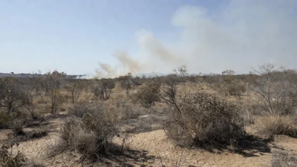 Paisagem do Cerrado no DF com incêndios durante seca de 54 dias sem chuva