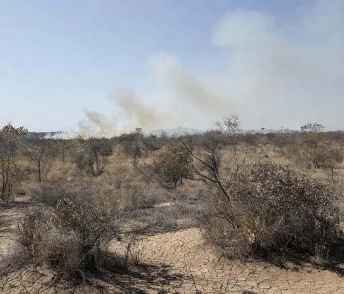 Paisagem do Cerrado no DF com incêndios durante seca de 54 dias sem chuva