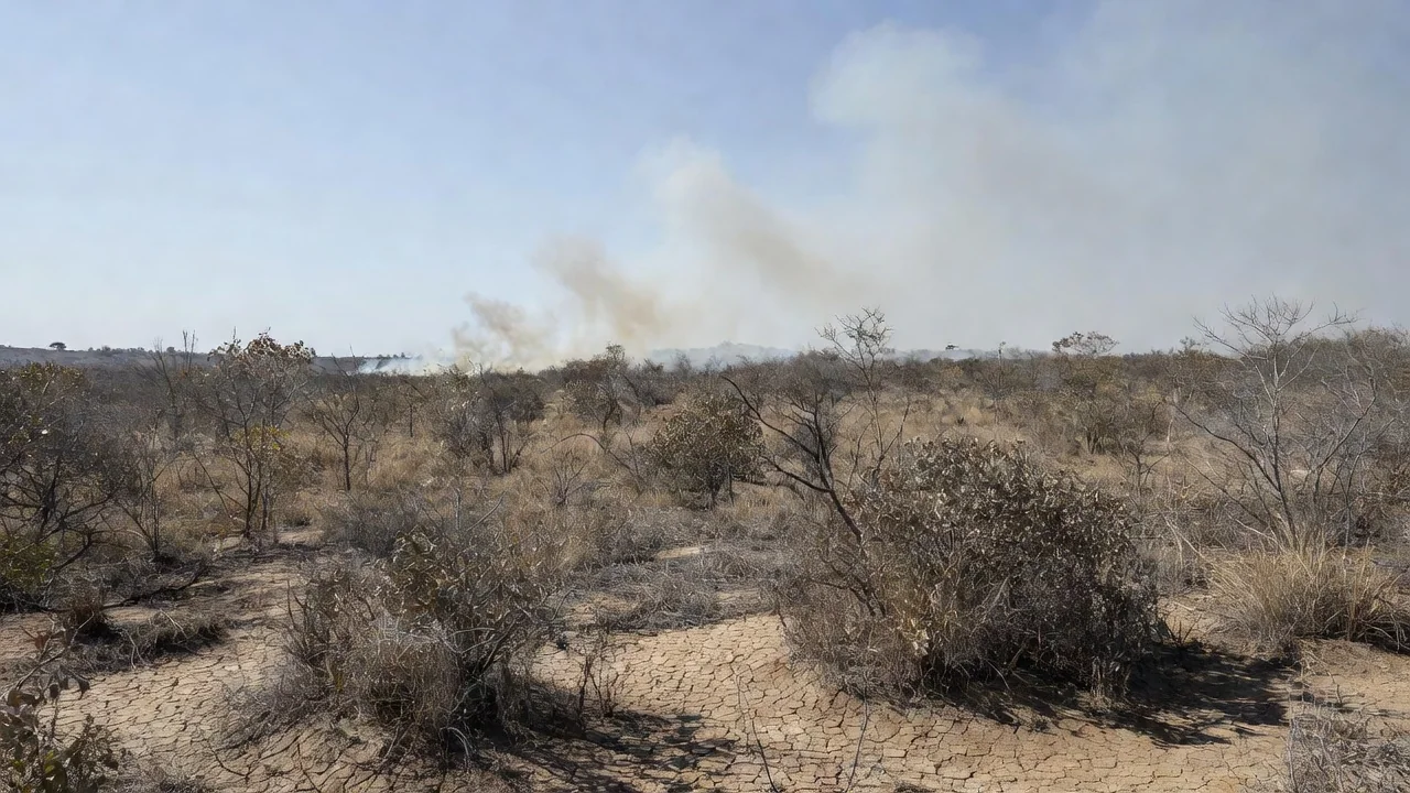 Paisagem do Cerrado no DF com incêndios durante seca de 54 dias sem chuva