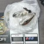 Duas mulheres são presas ao tentar entrar com 76g de ice e skunk na Papuda